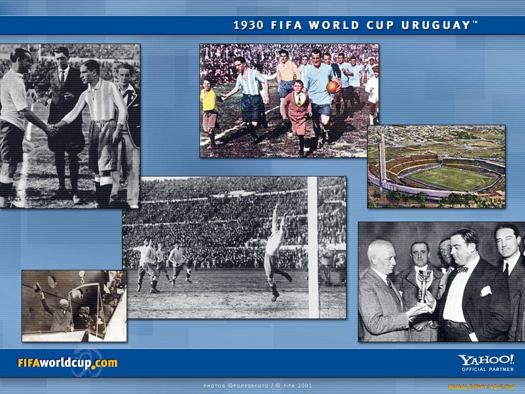 спорт, футбол