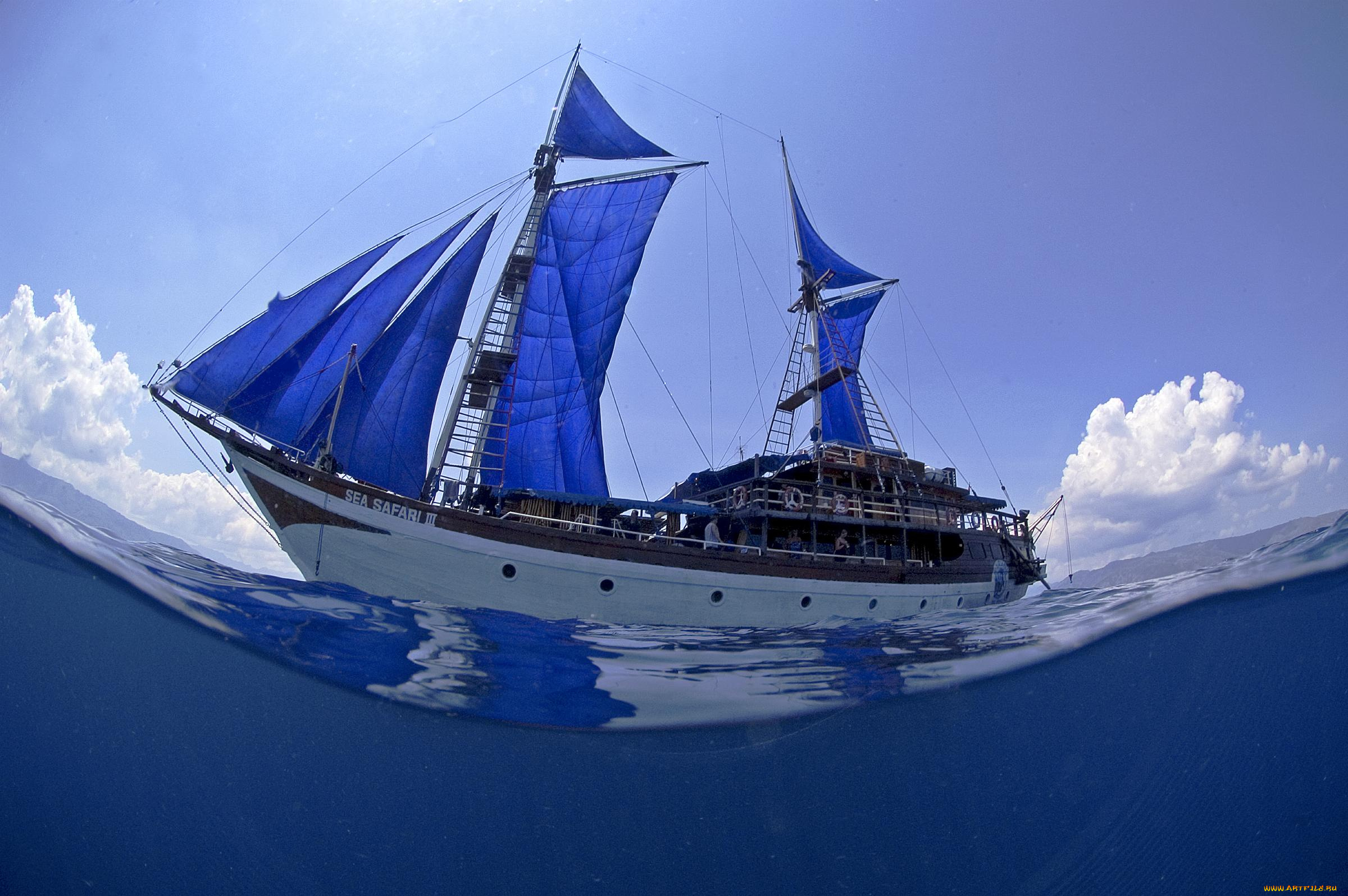 корабли, Яхты