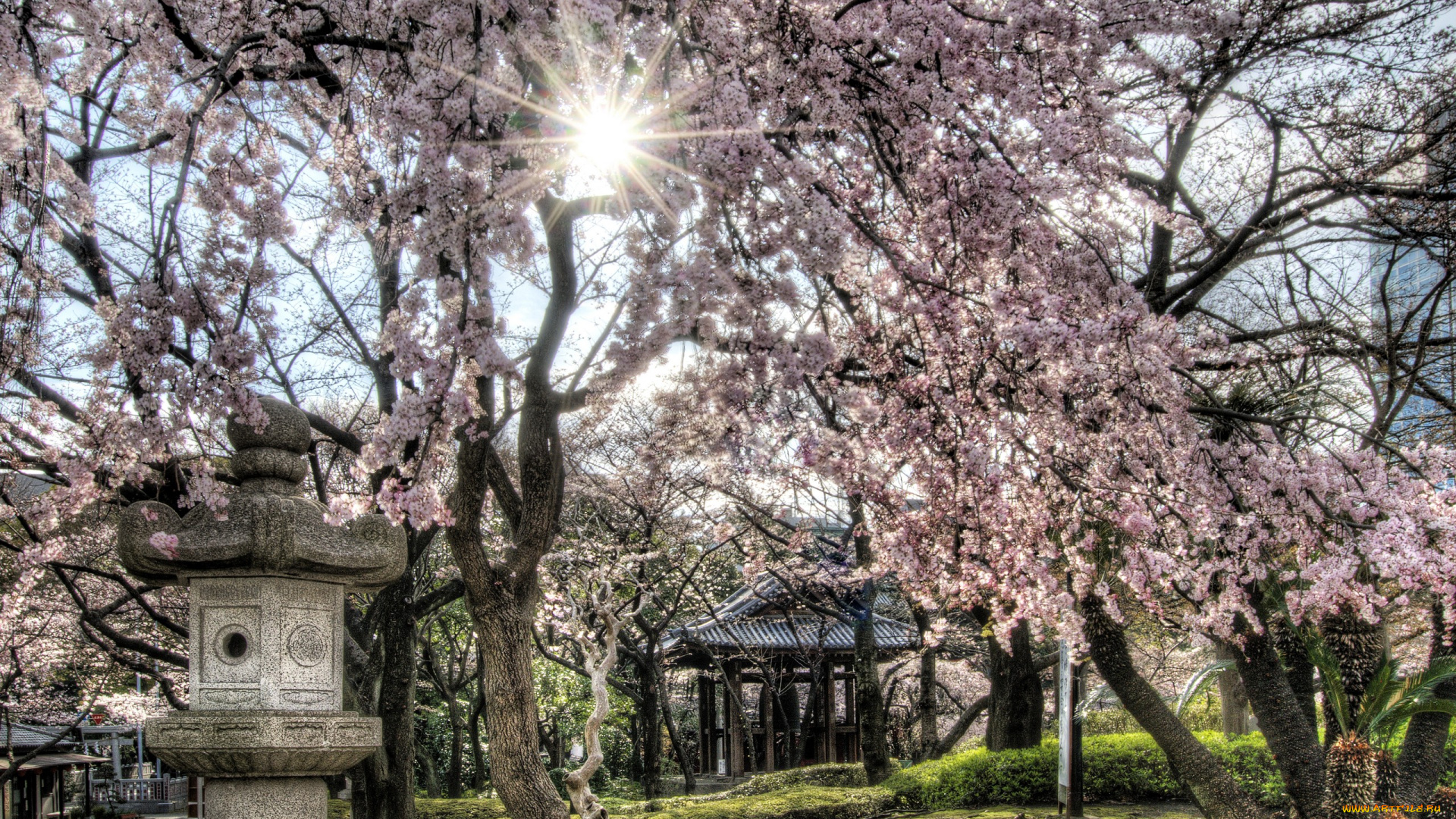 природа, парк