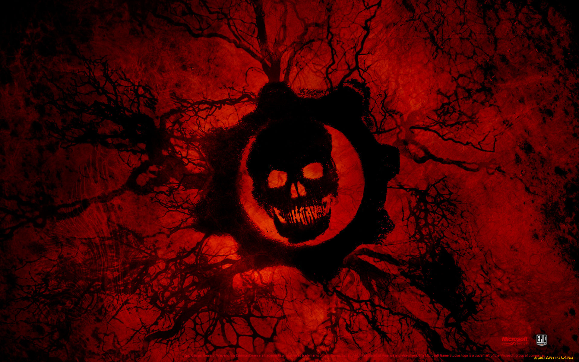 gears, of, war, видео, игры