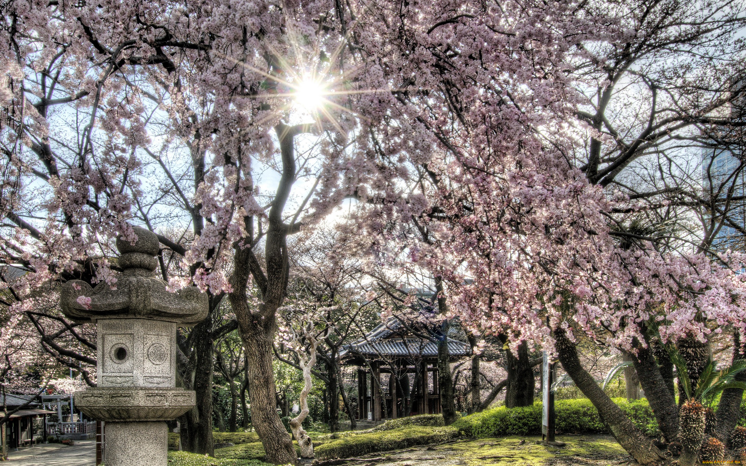 природа, парк