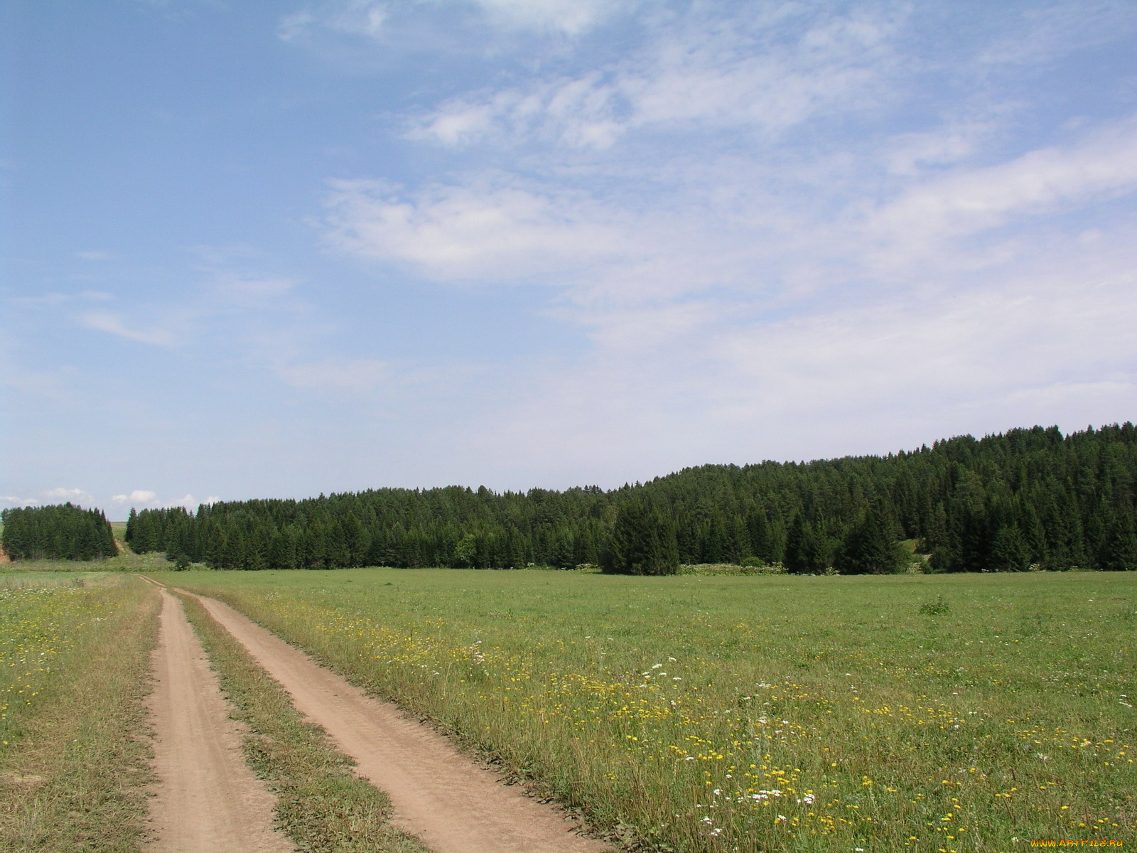 природа, дороги, поле, лес