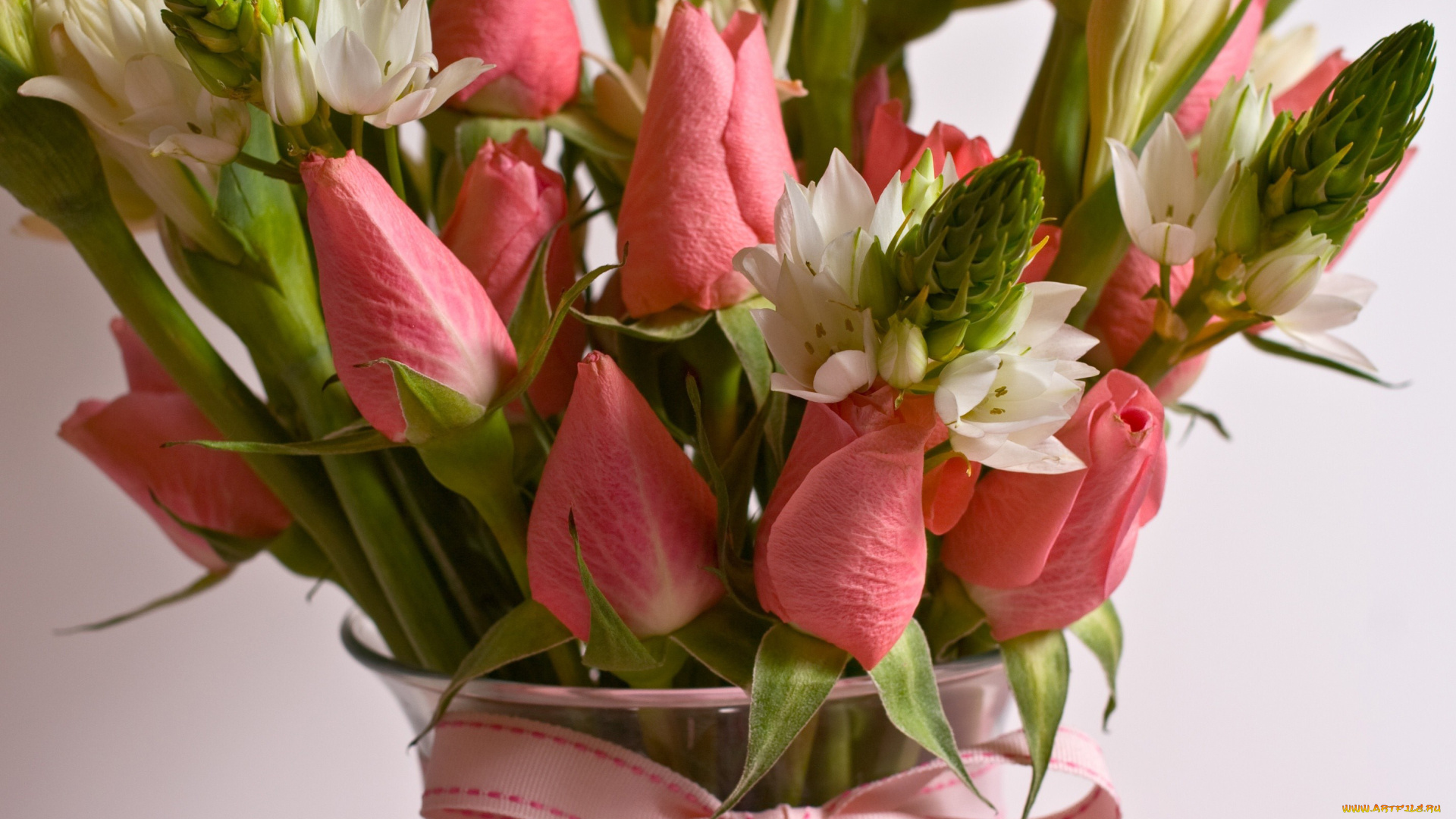 цветы, букеты, композиции, ваза, лента, розы