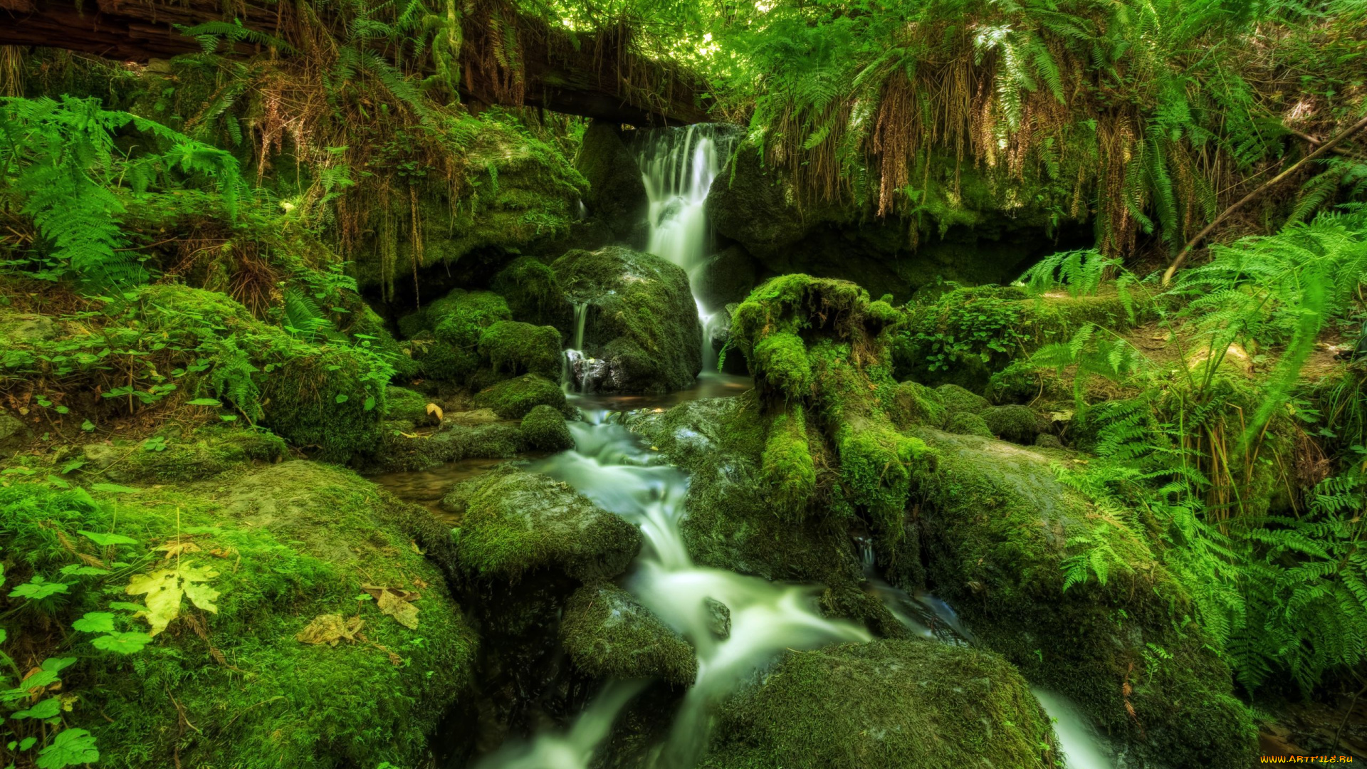 природа, водопады, водопад, лес, папоротник, мох
