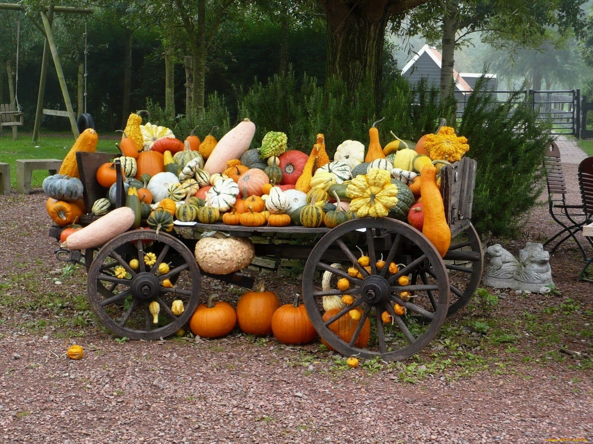 еда, тыква, осень, разнообразие, сорта, урожай, повозка