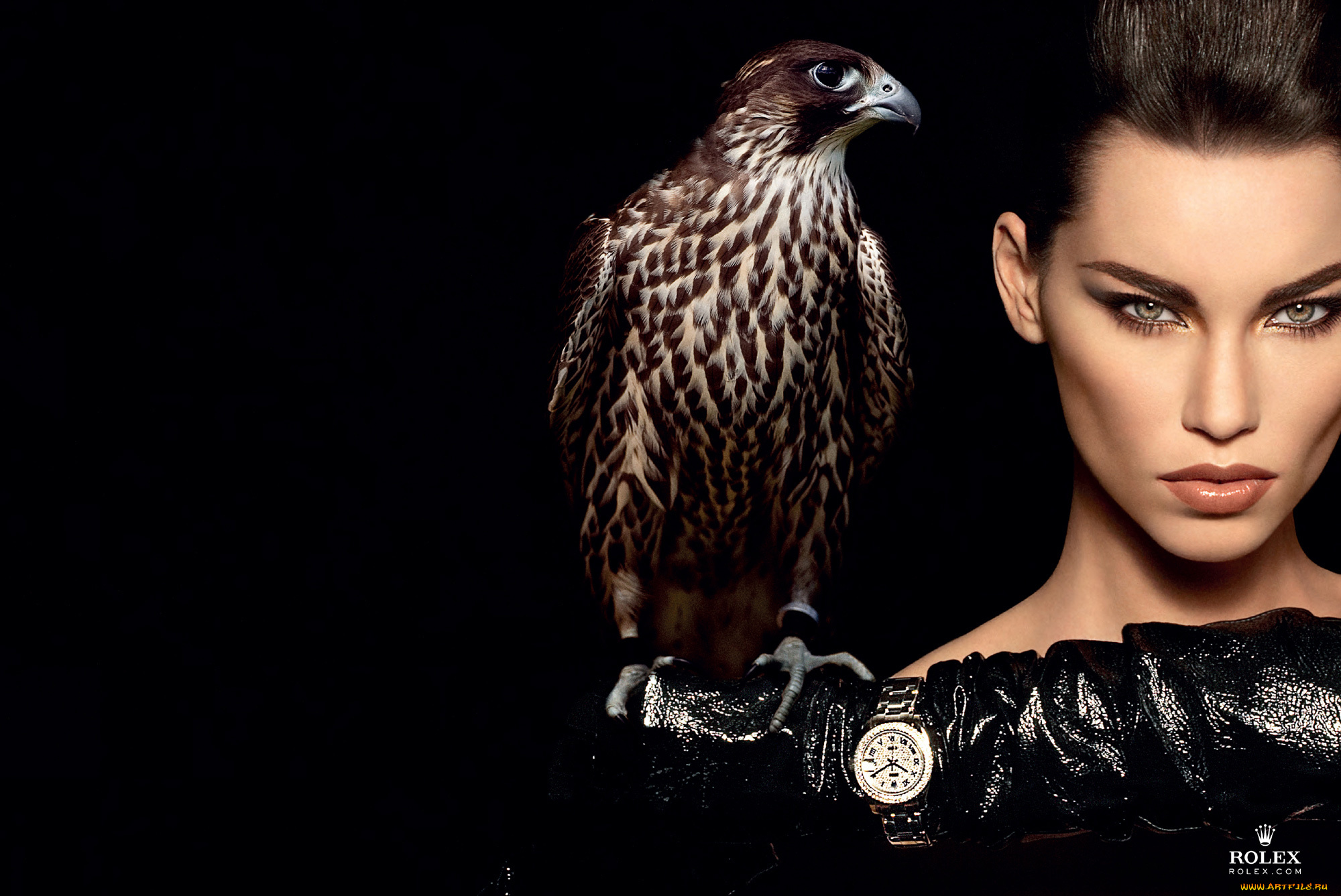 автор, fadil, berisha, бренды, rolex, сокол