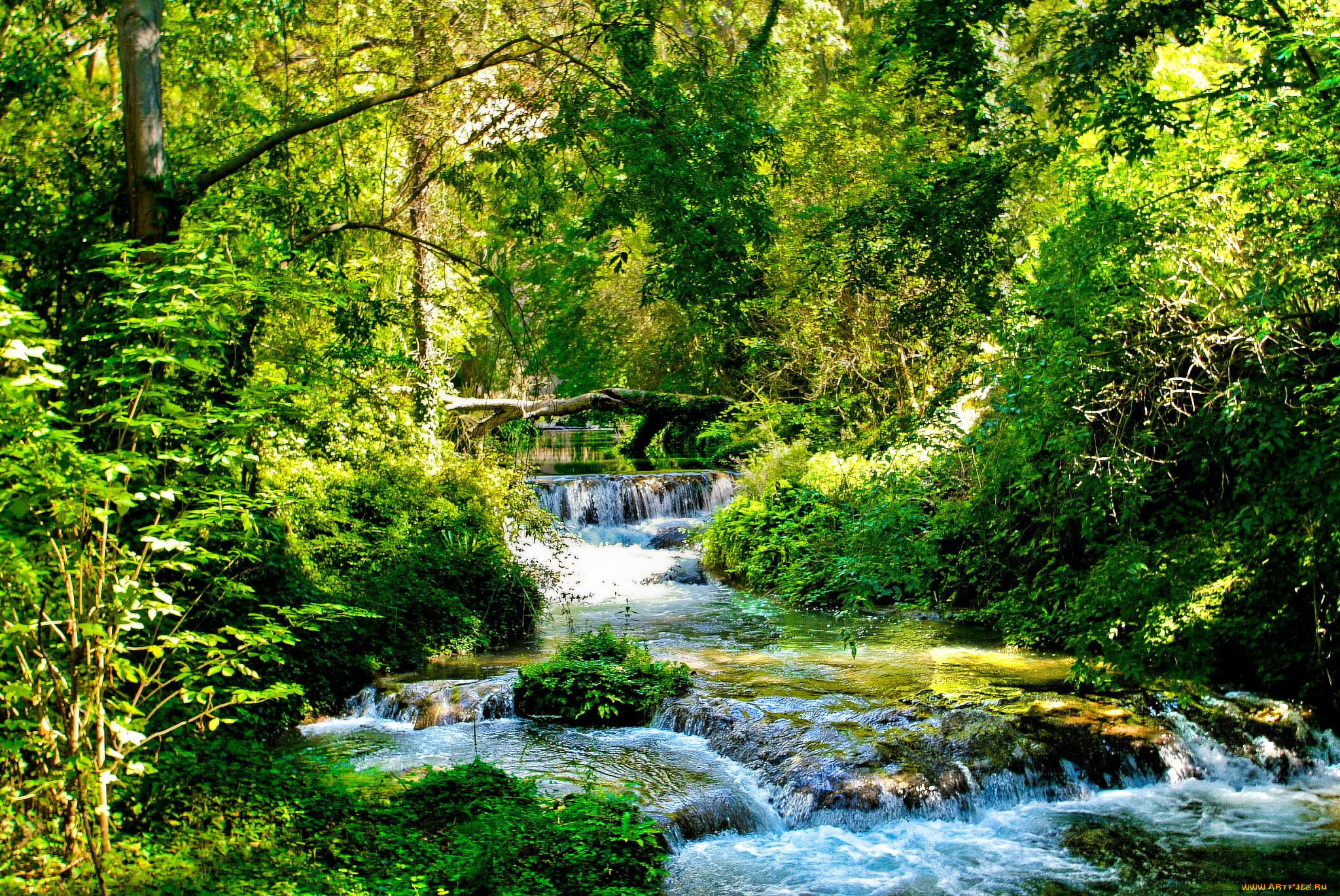 природа, реки, озера, река, лес, деревья