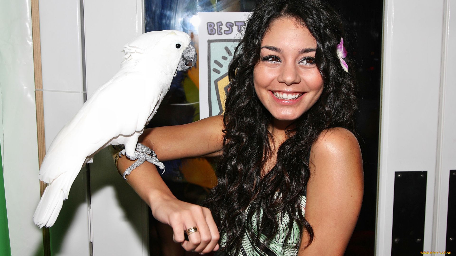 Vanessa, Hudgens, девушки, актриса, певица, сша