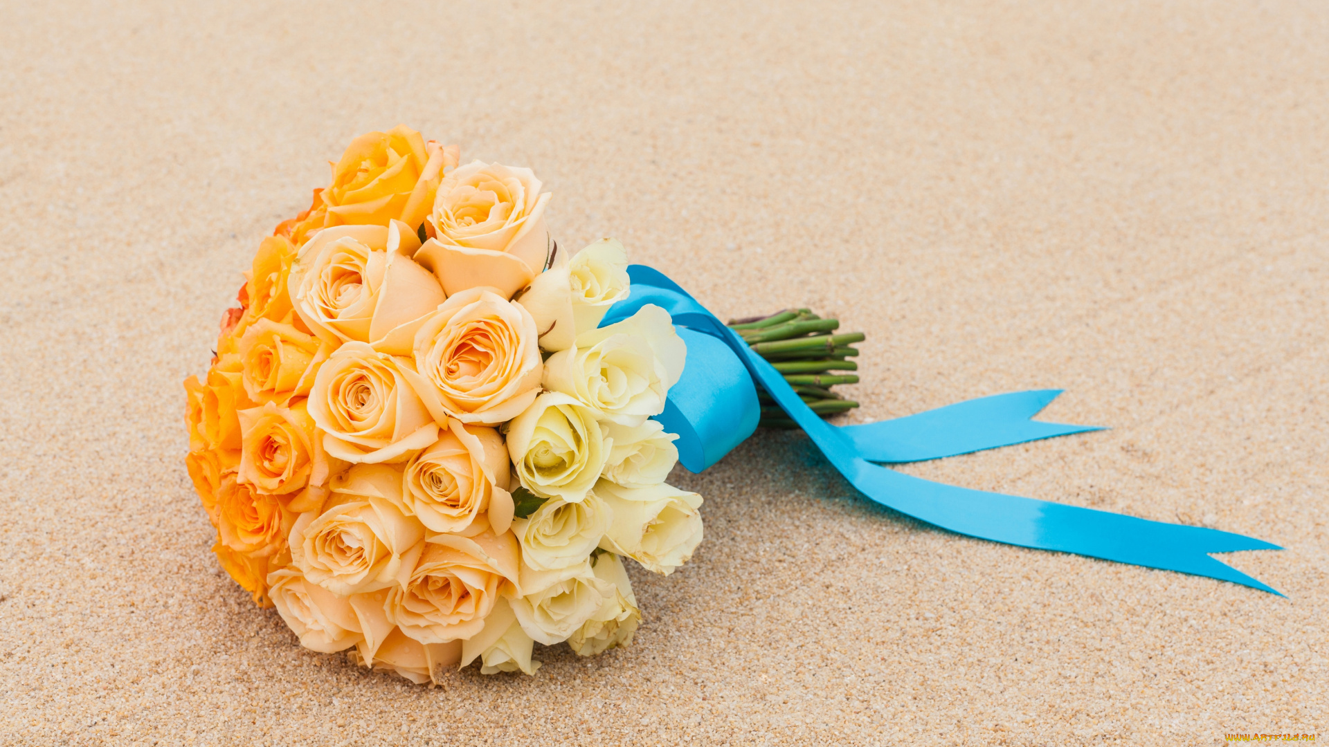 цветы, розы, букет, песок