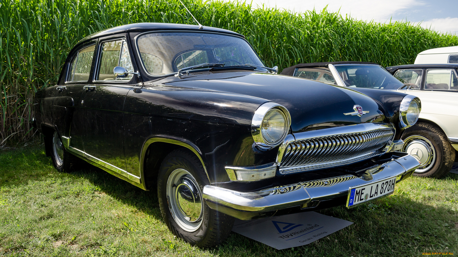 gaz-21, volga, автомобили, выставки, и, уличные, фото, история, ретро, автошоу, выставка