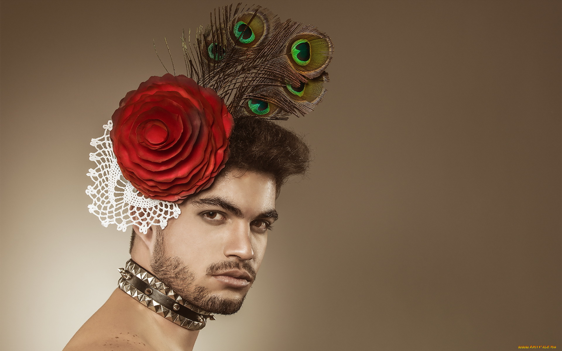мужчины, -, unsort, парень, взгляд, фон, перья, цветок