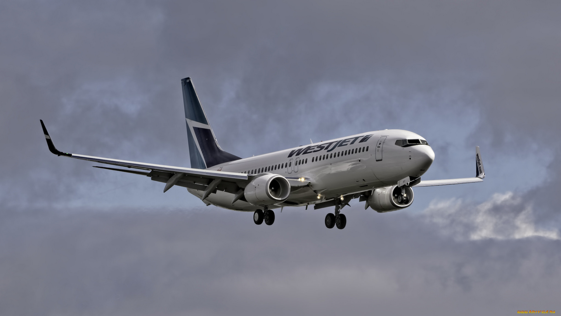 boeing, 737-800, авиация, пассажирские, самолёты, полет, авиалайнер