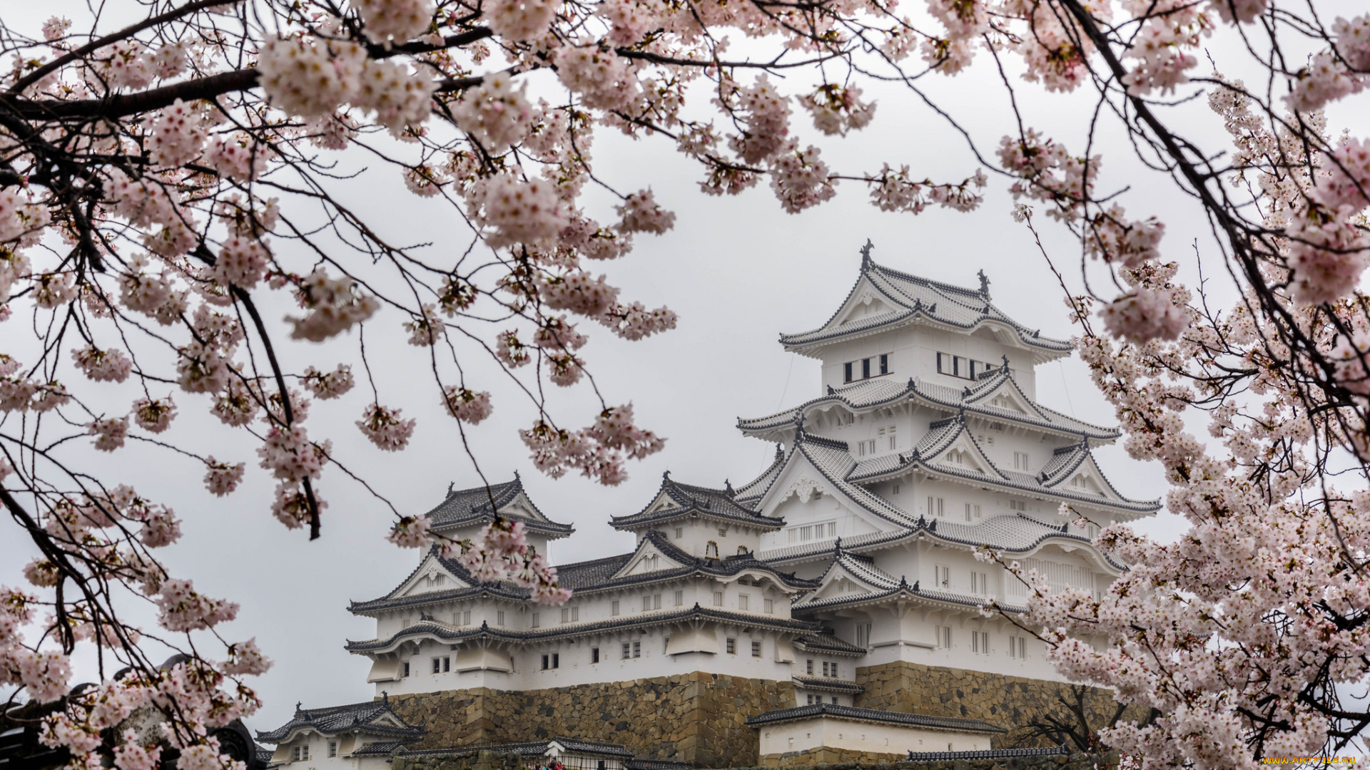 города, -, дворцы, , замки, , крепости, восток, дворец, сакура