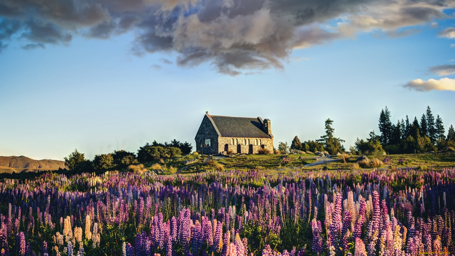 города, -, здания, , дома, небо, облака, холм, дом, цветы, вереск