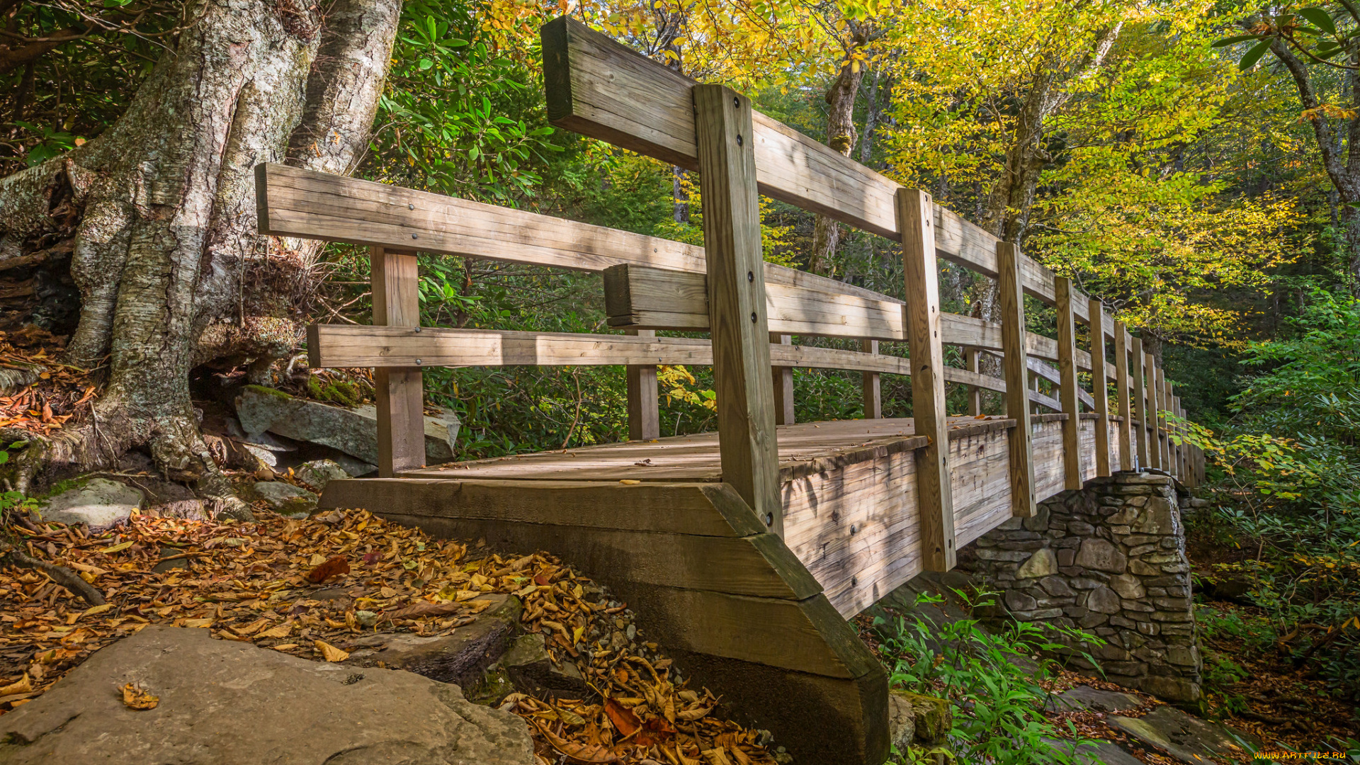 природа, дороги, мостик, лес