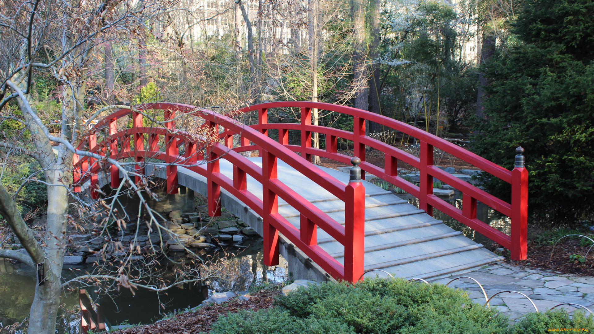 природа, дороги, река, лес, мостик