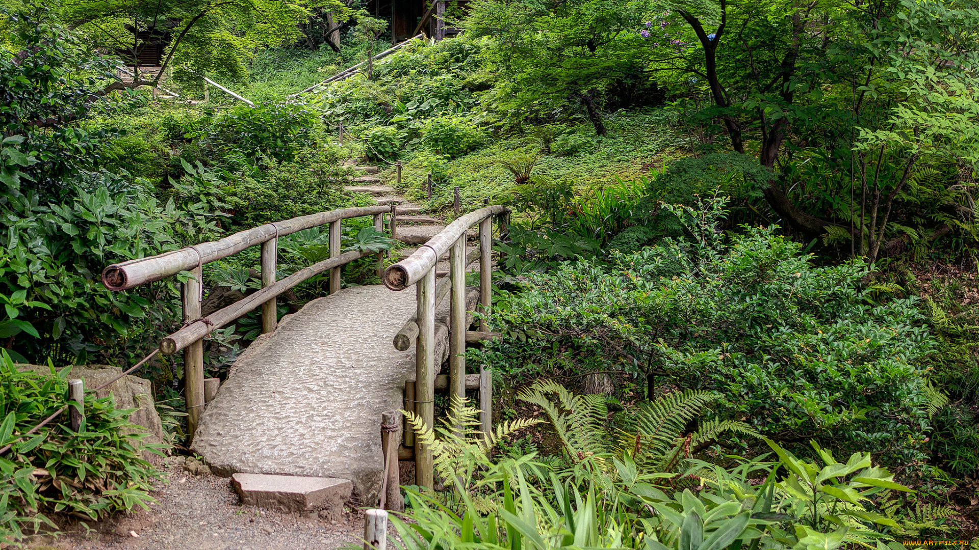 природа, дороги, тропинка, мостик, лес