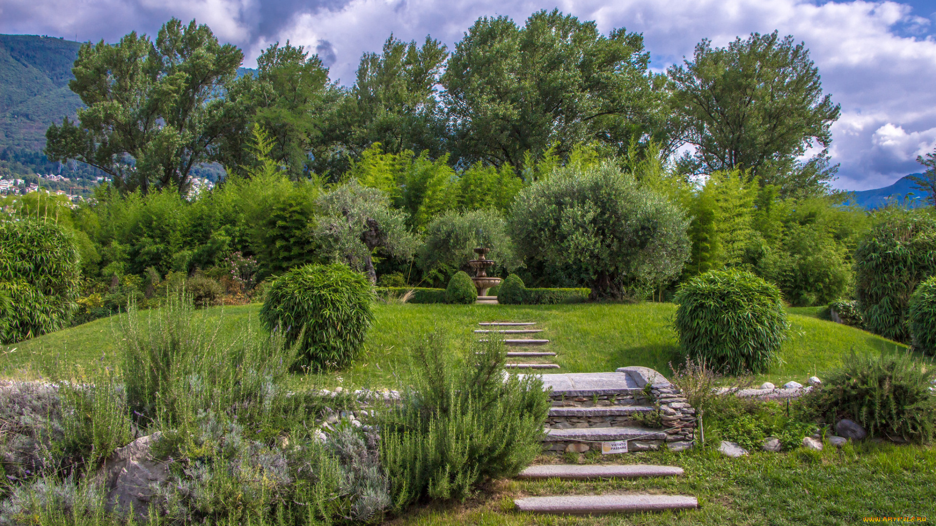 природа, парк, растительность, газон, ступеньки