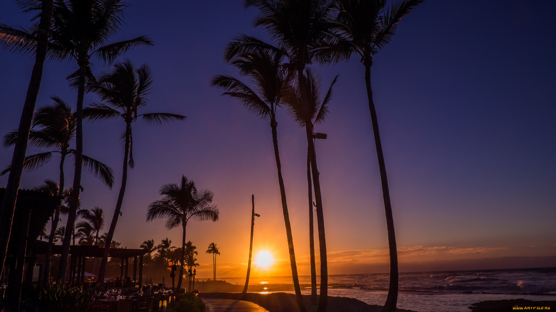 природа, восходы, закаты, пальмы, сумерки, тропики, океан