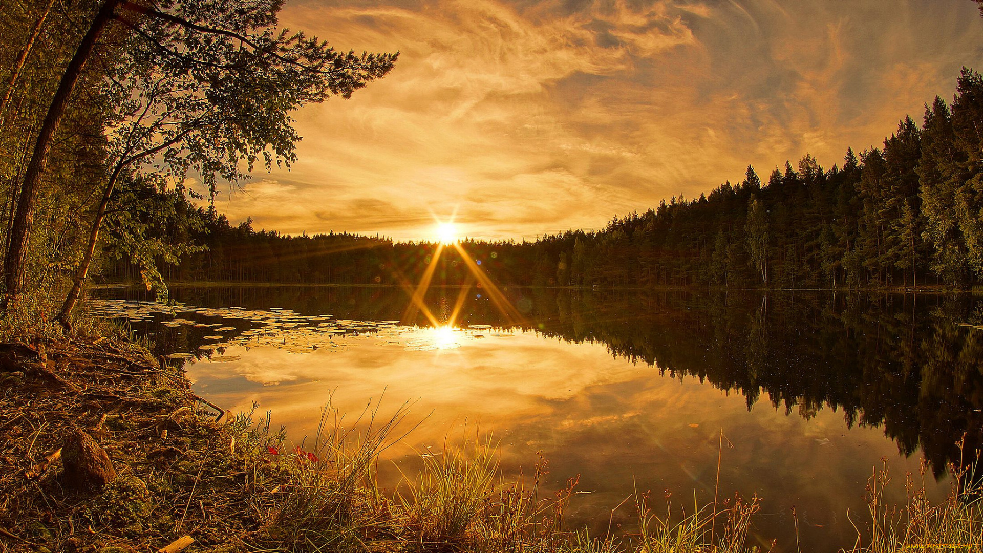 природа, восходы, закаты, заря, река, лес