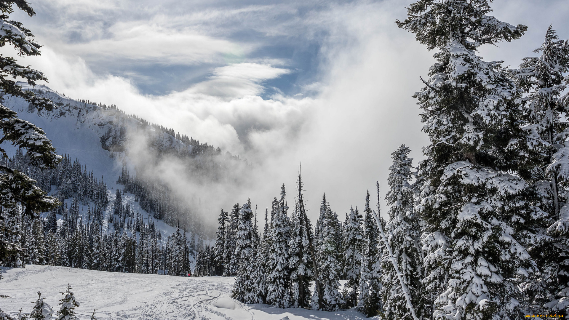 природа, зима, снег, ели, горы