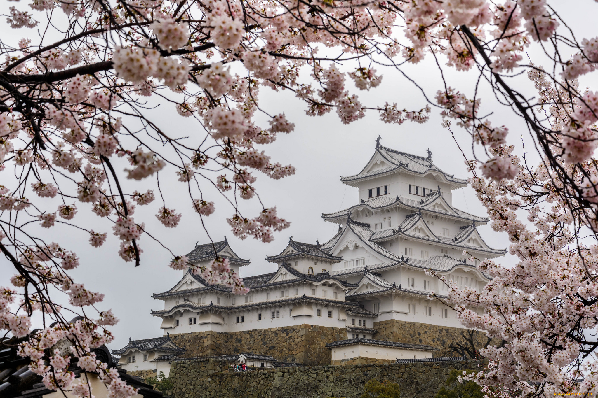 города, -, дворцы, , замки, , крепости, восток, дворец, сакура