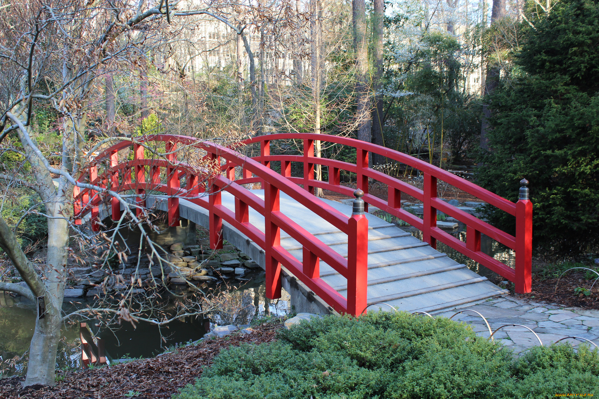 природа, дороги, река, лес, мостик