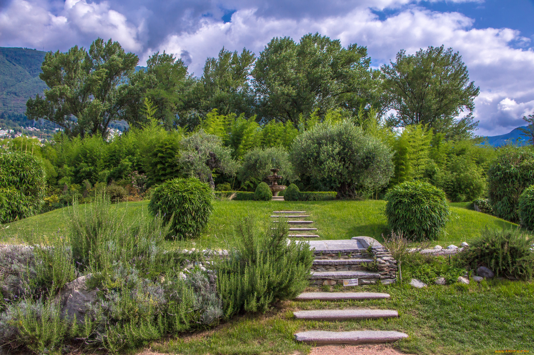 природа, парк, растительность, газон, ступеньки