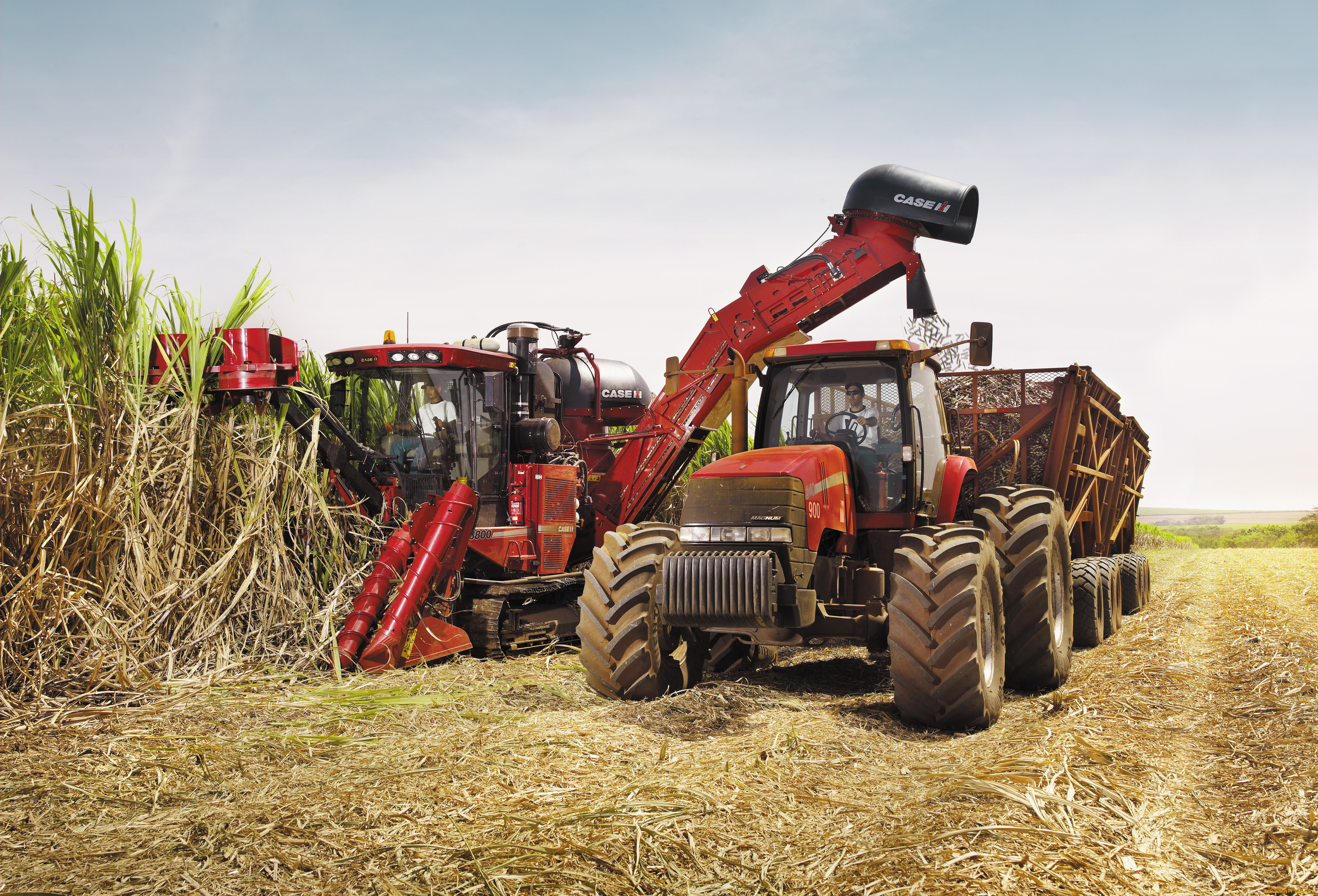 техника, тракторы, case