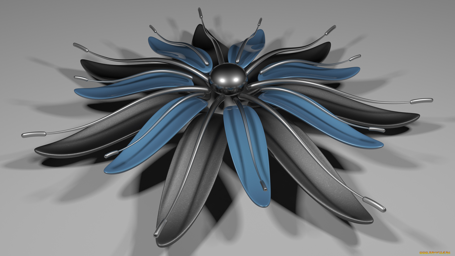 3д, графика, цветы, , flowers, цветок, лепестки