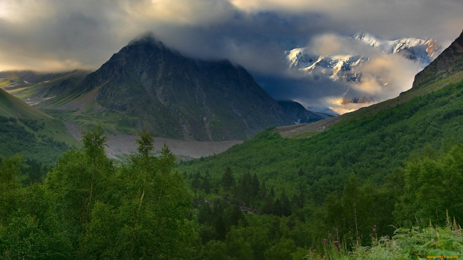 природа, горы, лес