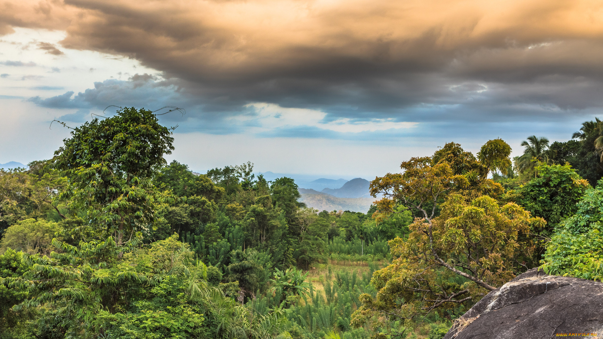природа, пейзажи, простор