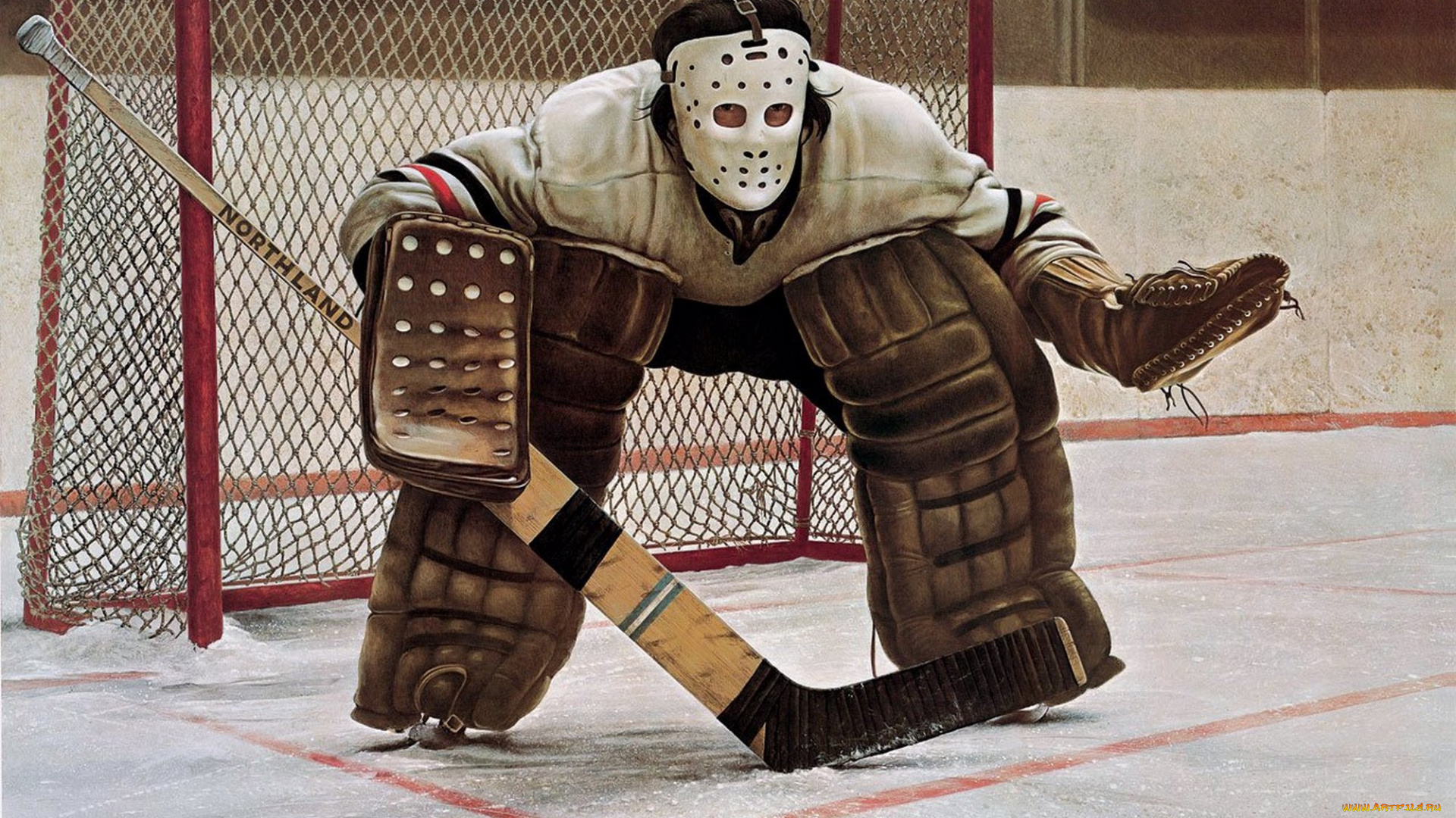 спорт, хоккей, вратарь, арена