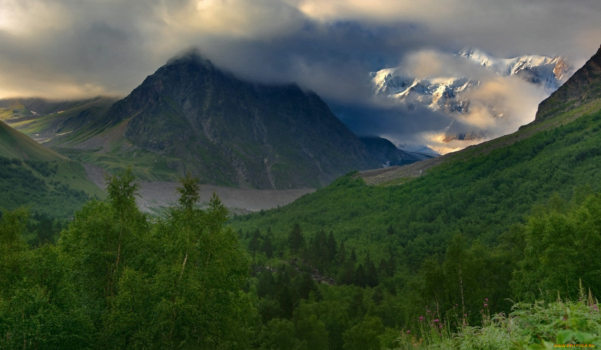 природа, горы, лес