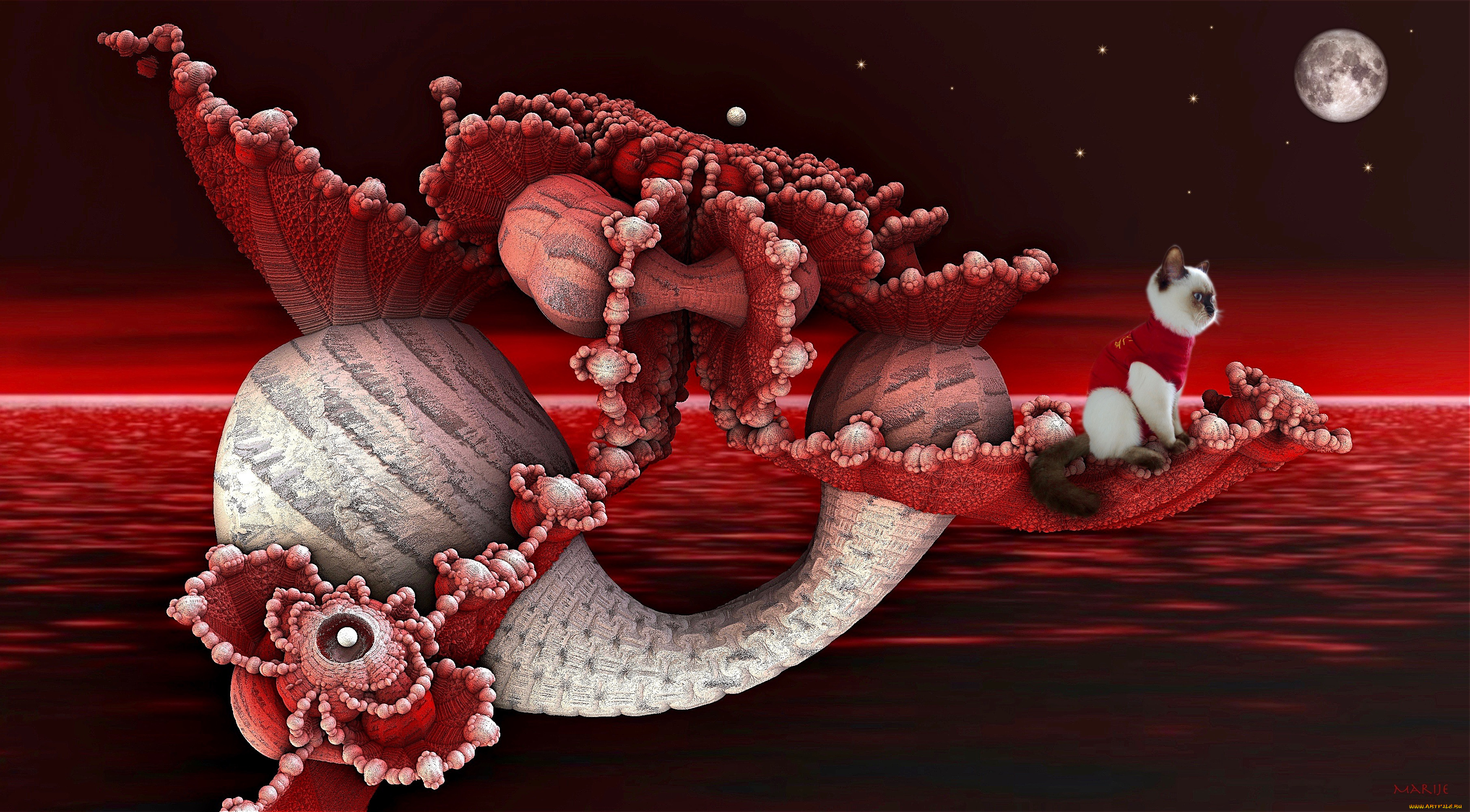 3д, графика, абстракция, , abstract, узор, фон, цвета