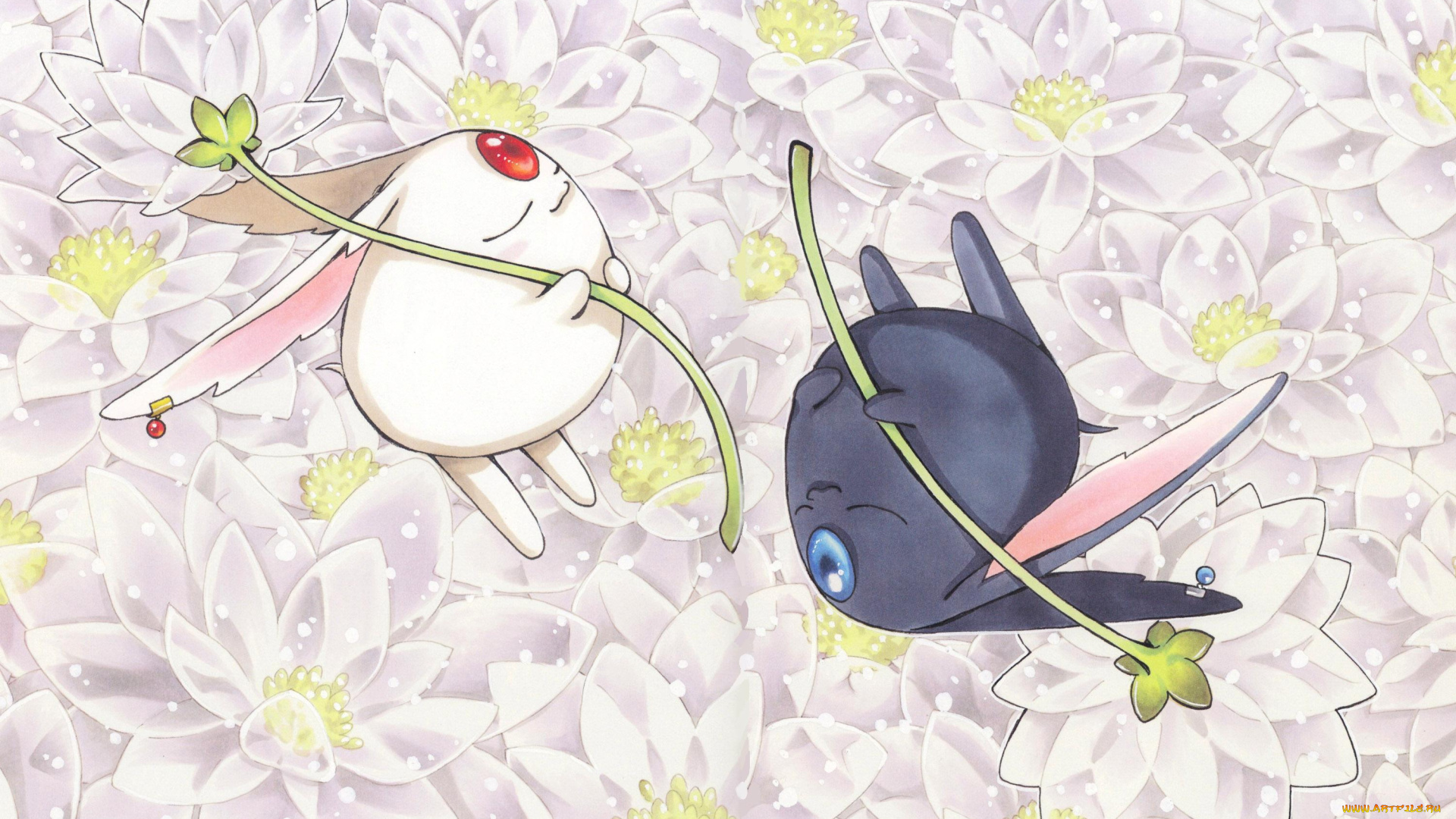 аниме, tsubasa, reservoir, chronicles, белый, цветы, черный, существа