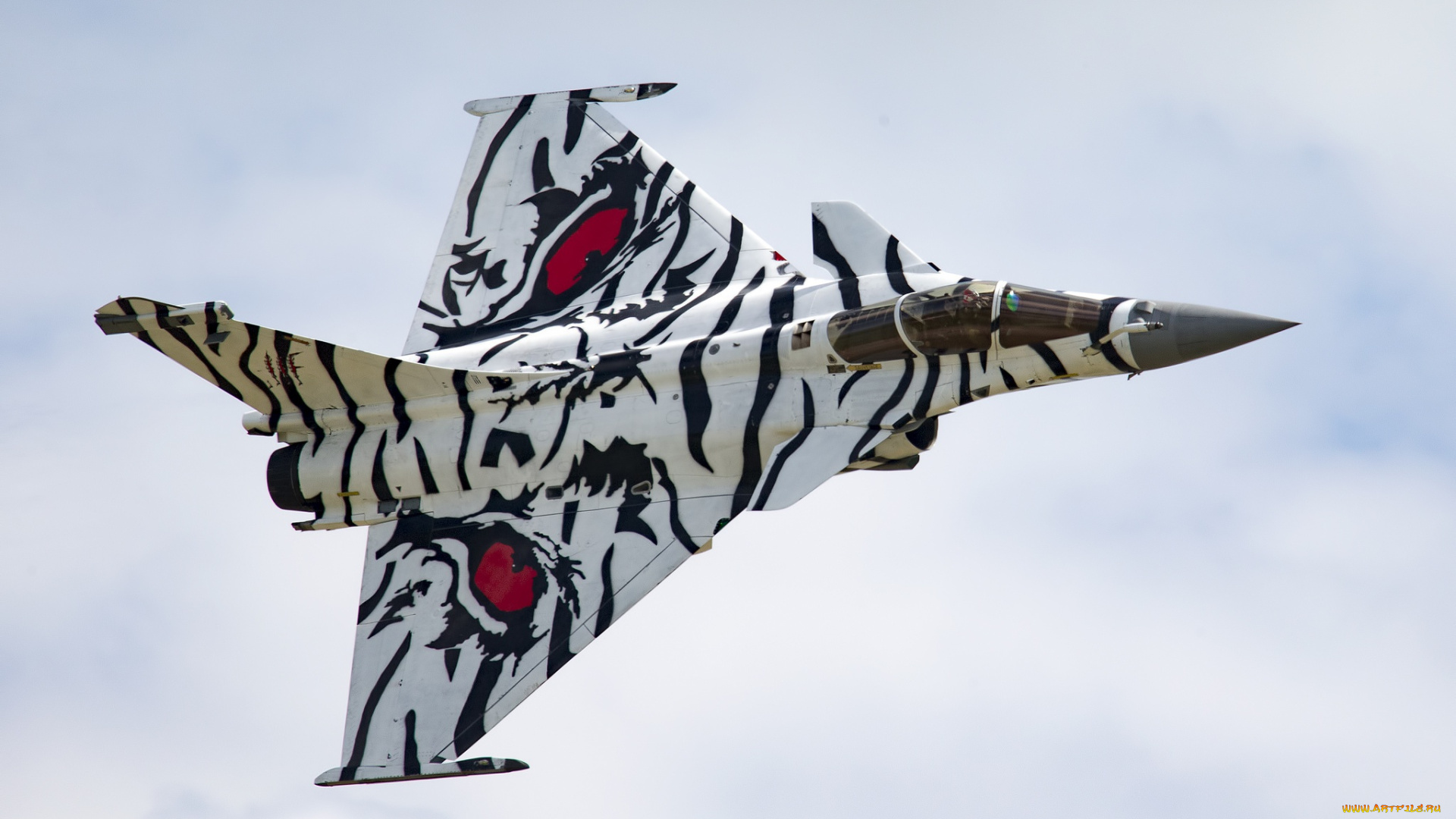 авиация, боевые, самолёты, rafale, многоцелевой, истребитель, французский, рафаль