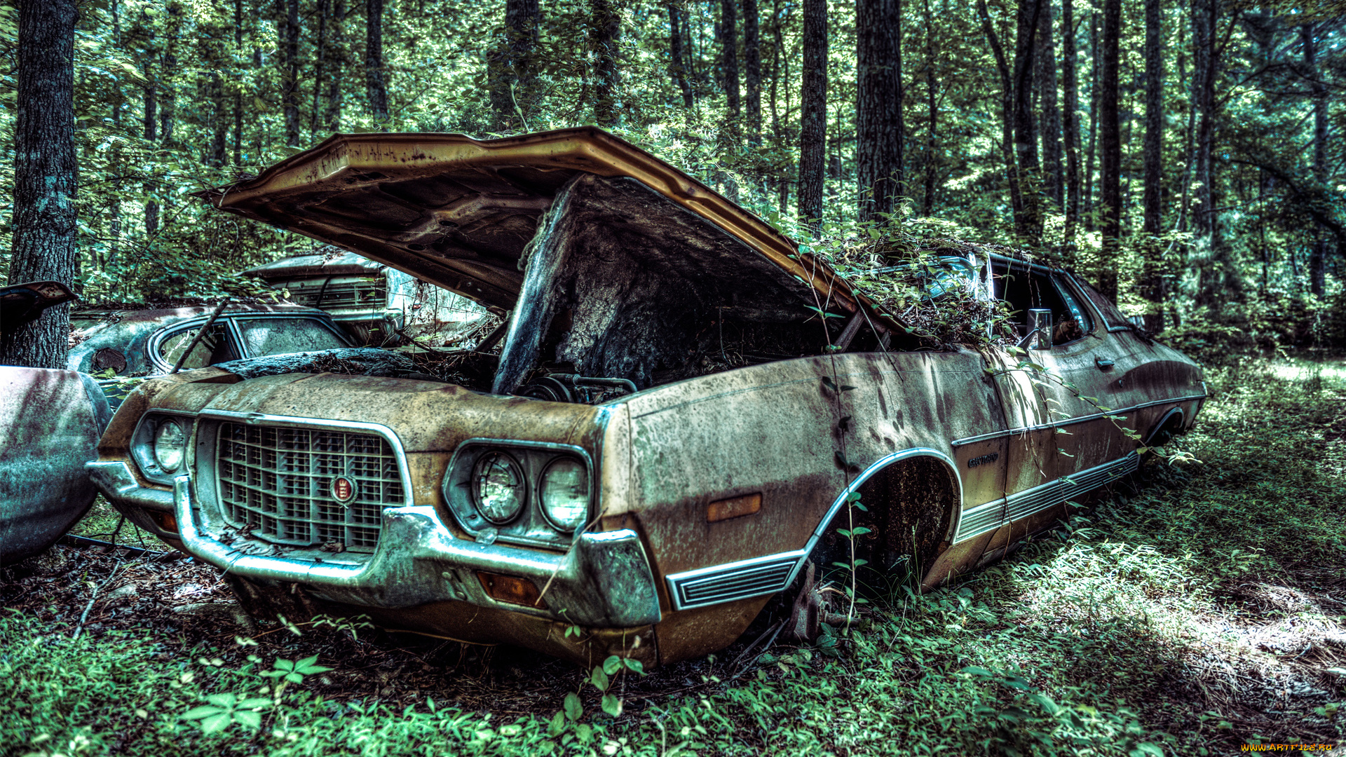 автомобили, ford