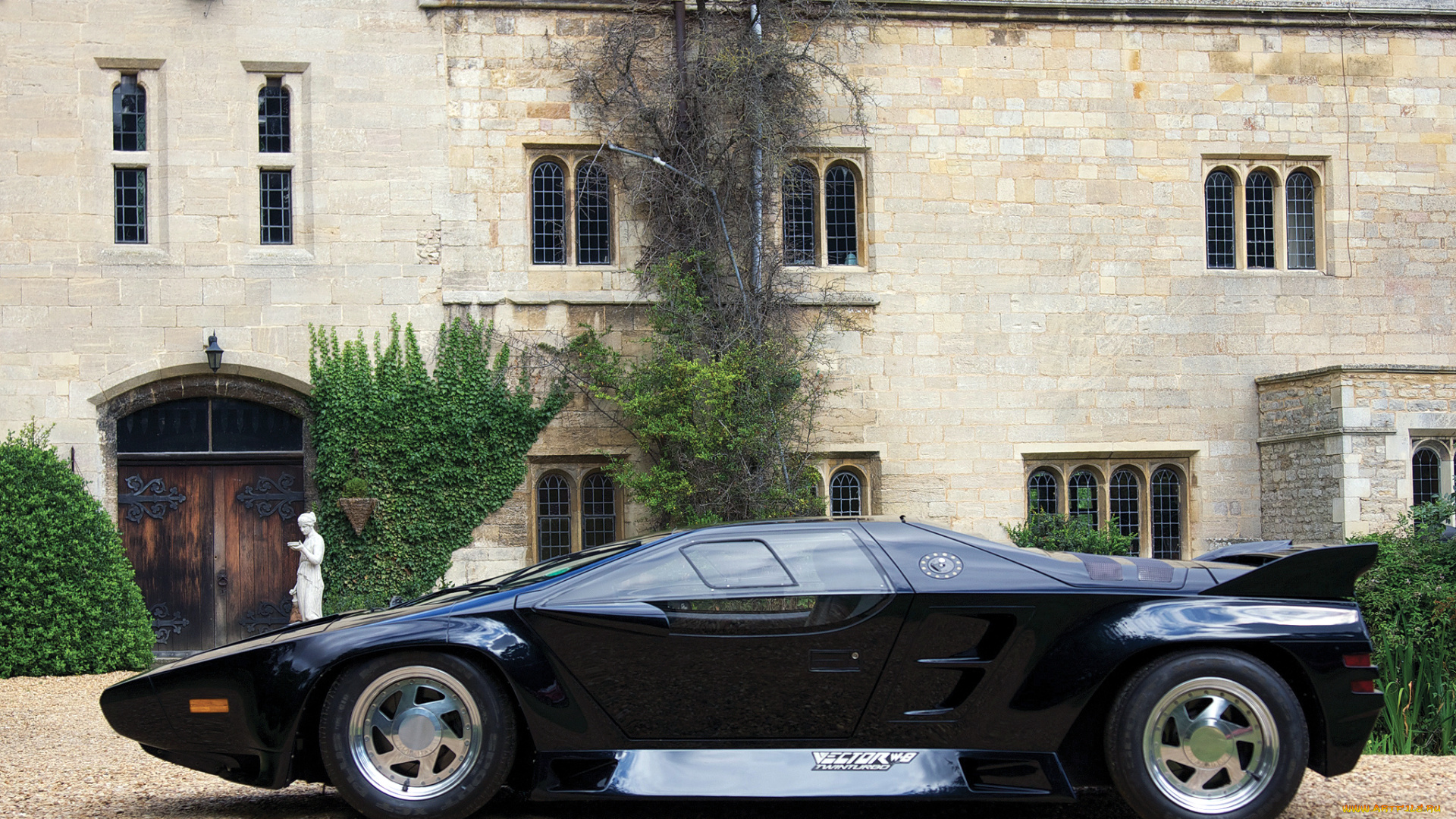 автомобили, vector