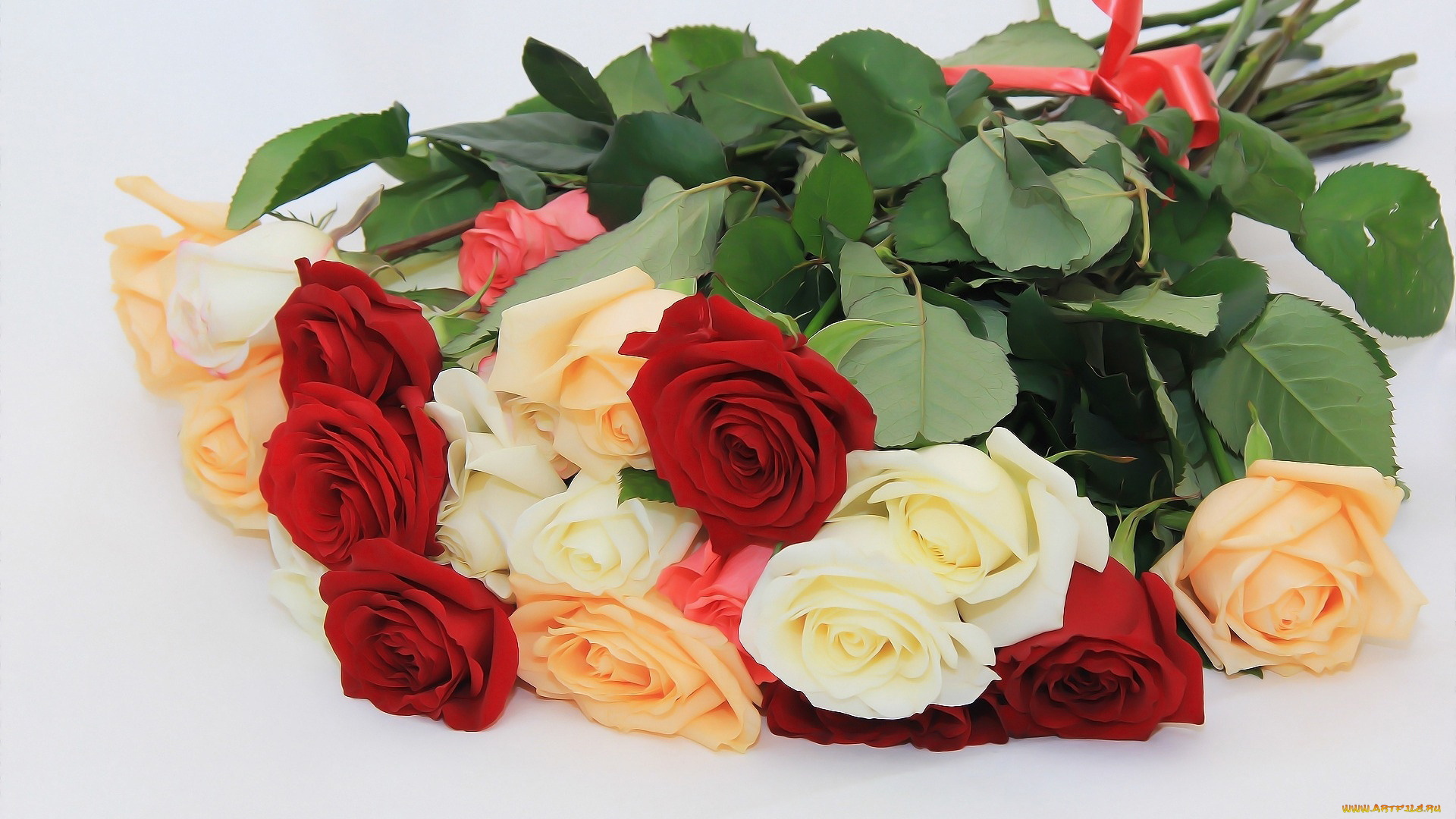 цветы, розы, букет