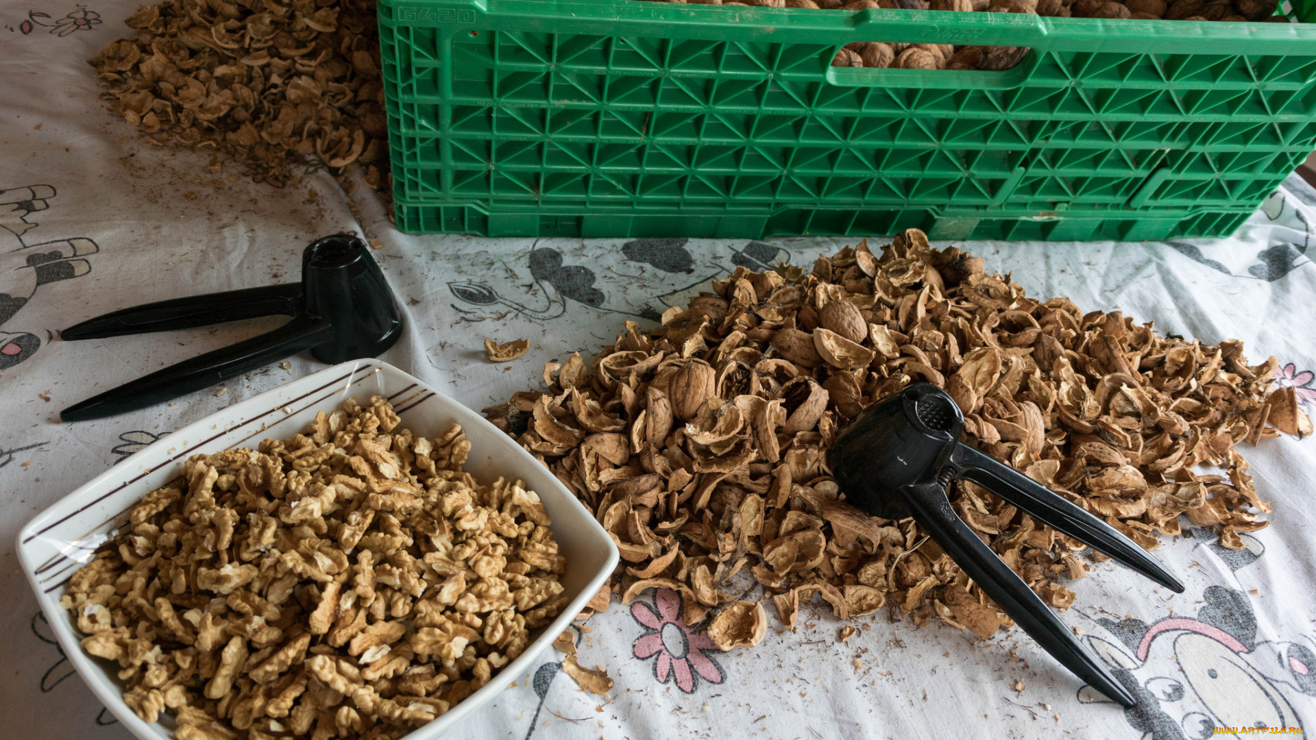 еда, орехи, , каштаны, , какао-бобы, снедь