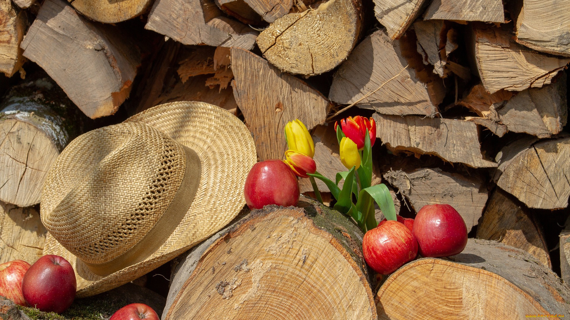 еда, Яблоки, тюльпаны, яблоки, шляпа