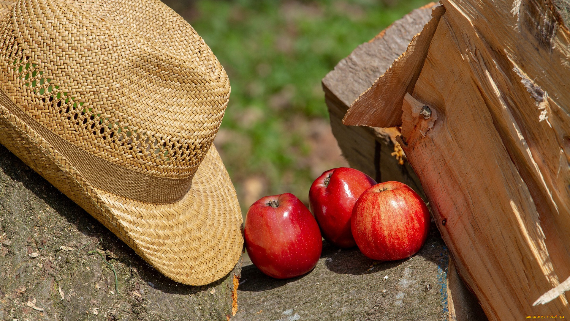 еда, Яблоки, яблоки, шляпа