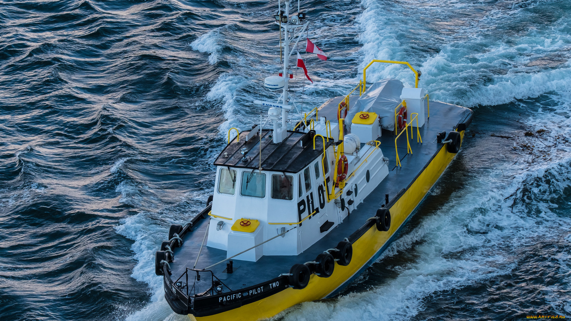 корабли, катера, катер