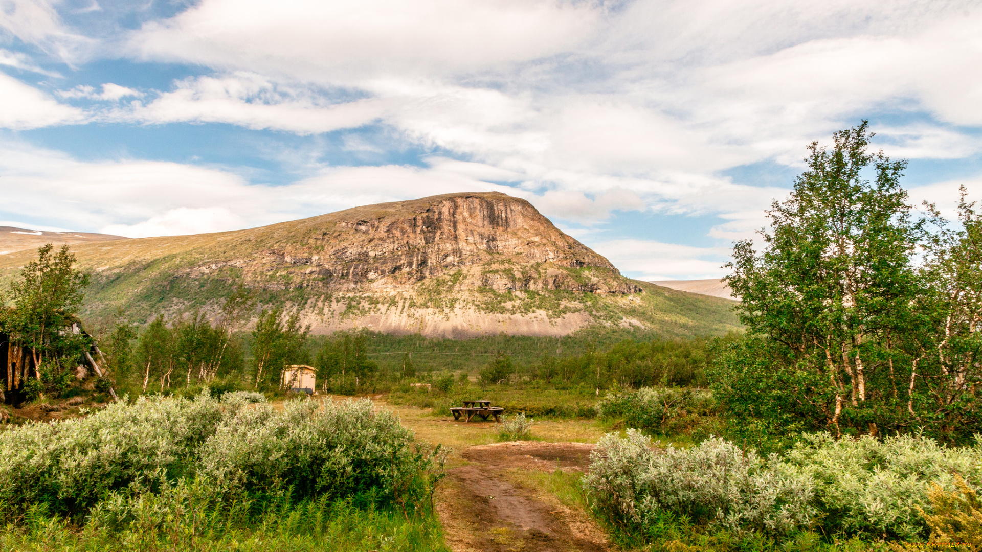 природа, дороги, простор