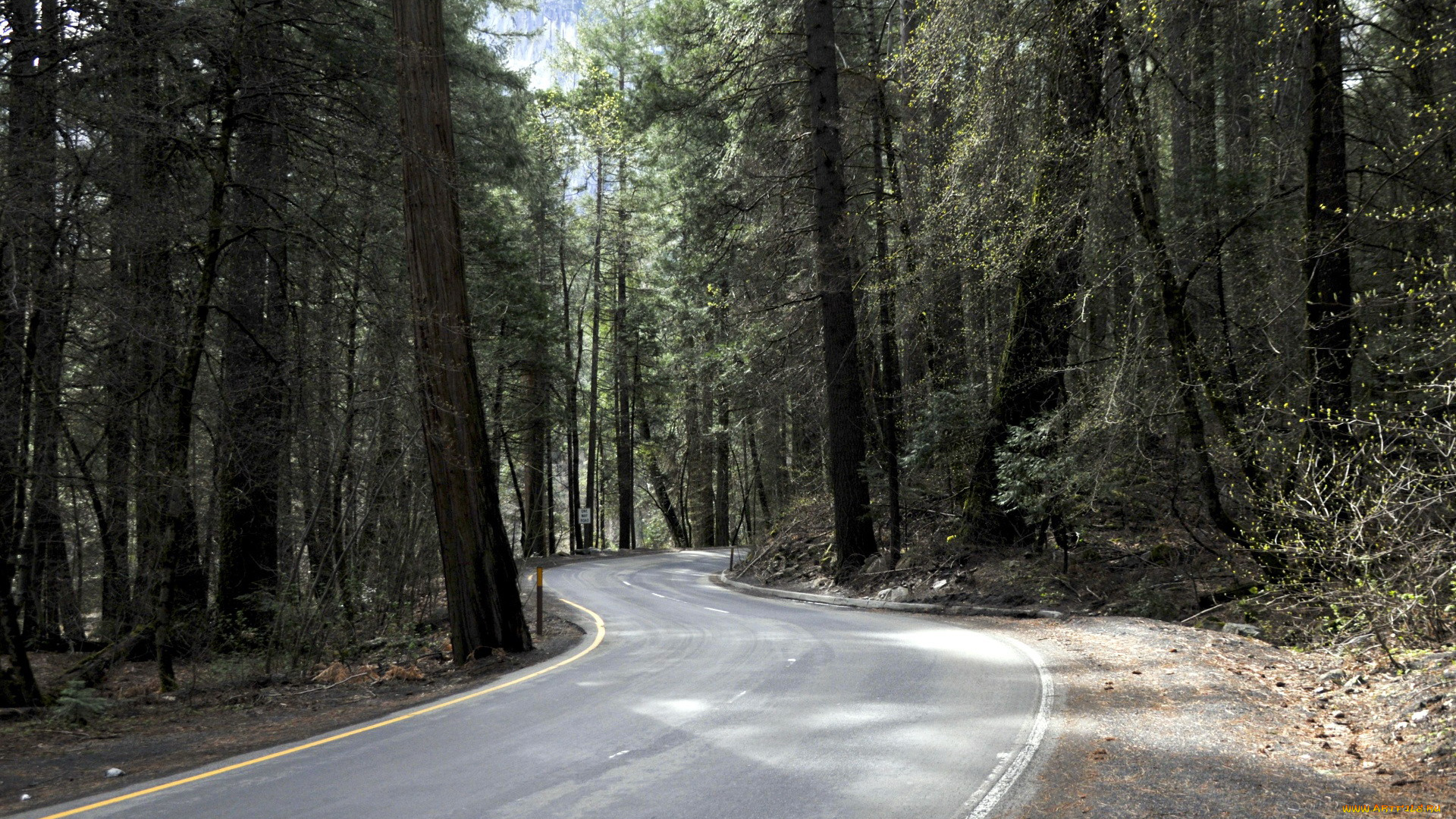 природа, дороги, шоссе