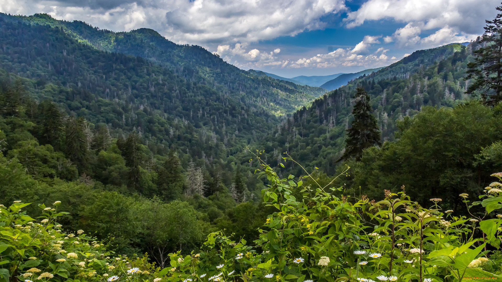 природа, горы, простор