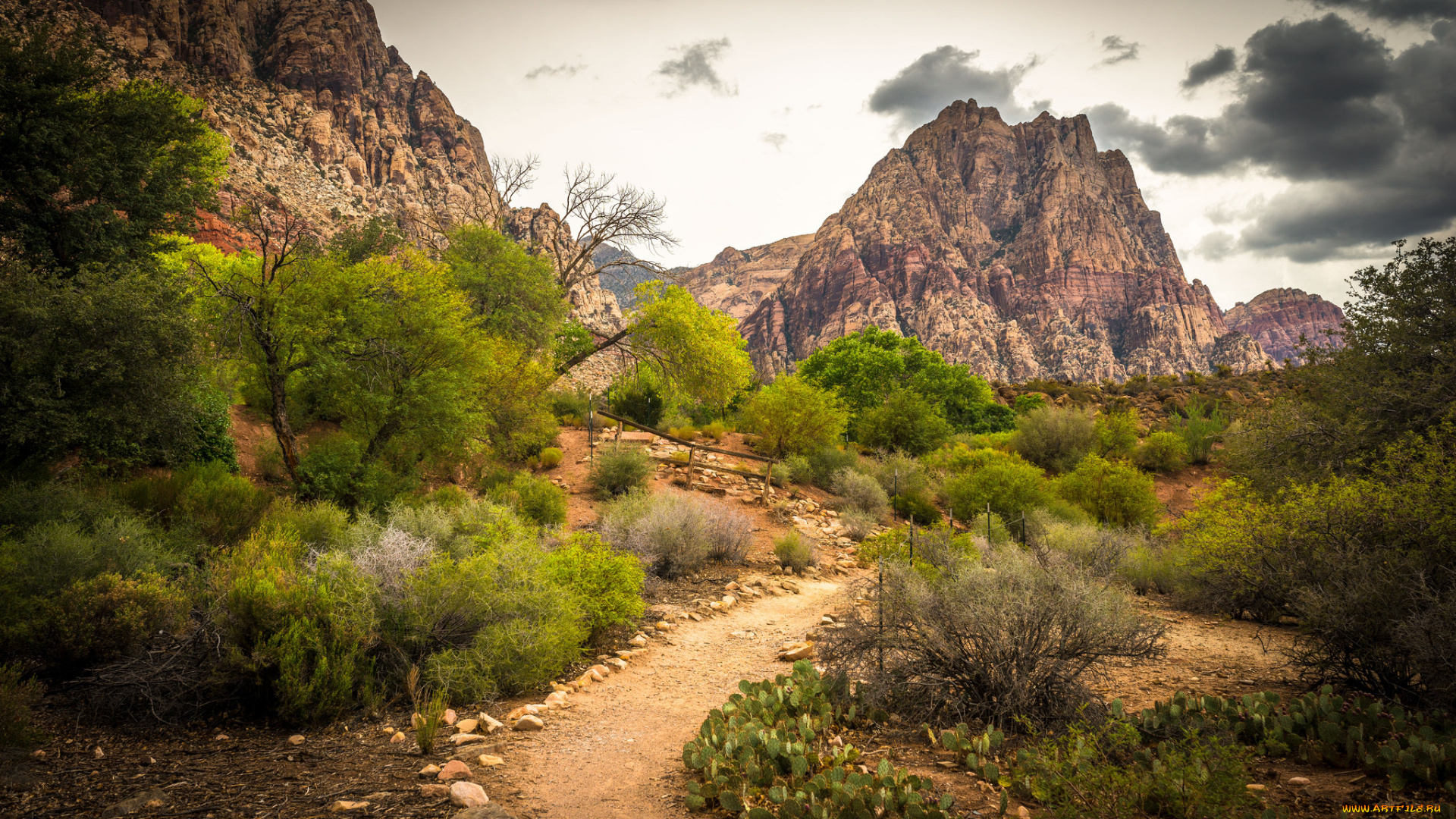 природа, горы, простор