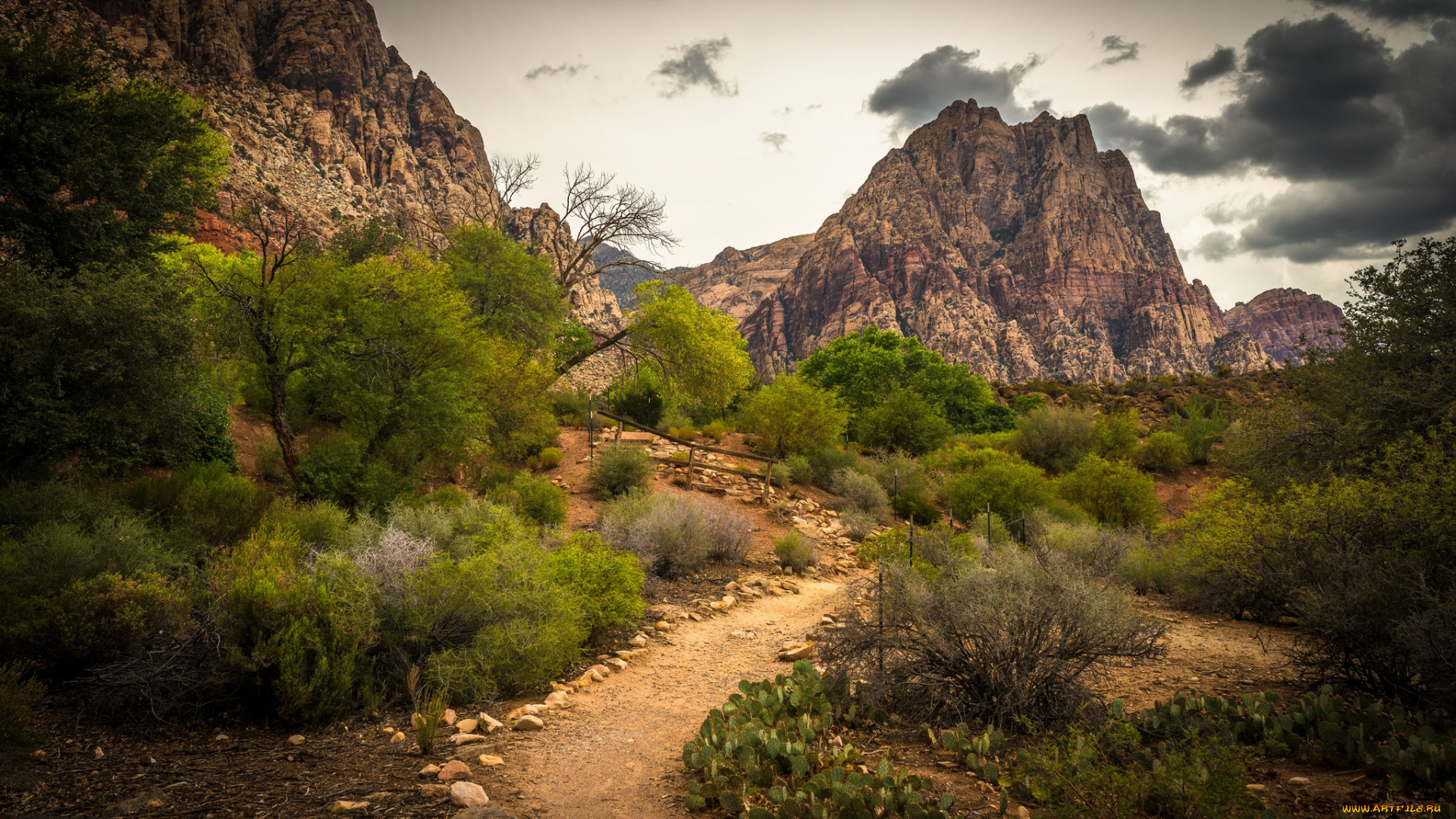 природа, горы, простор