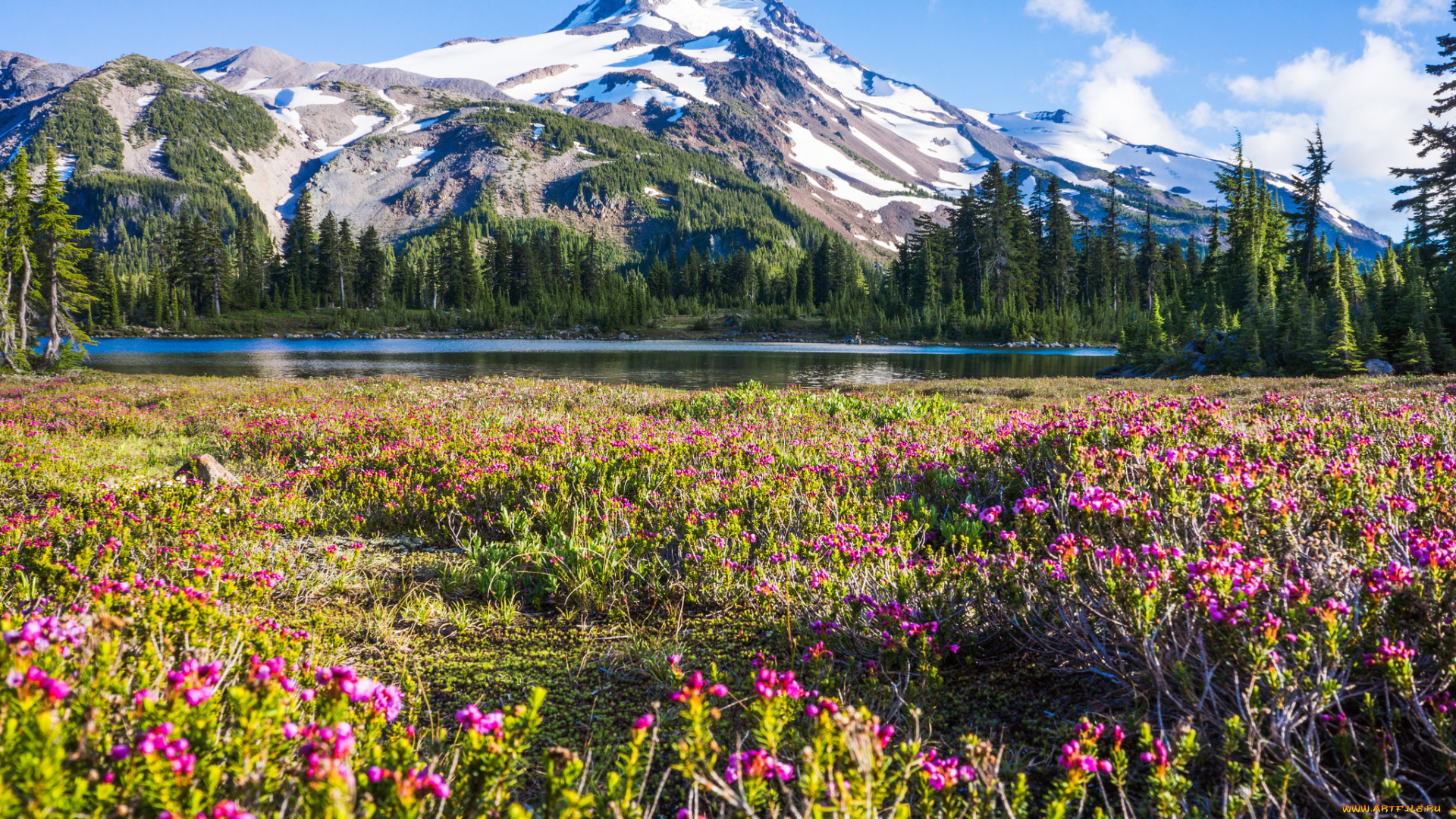 природа, горы, простор